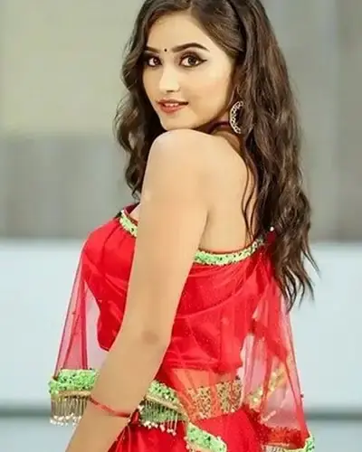 Escort In Gurdaspur